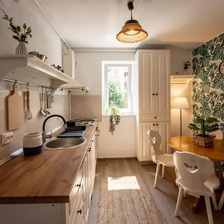 Apartment Daisy 11 Sighisoara